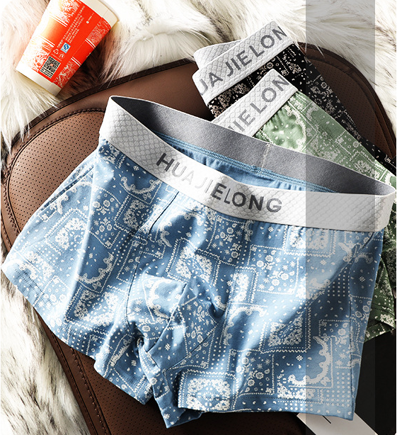 Cotton Printed Mid-Waist Underwear (set of 04)