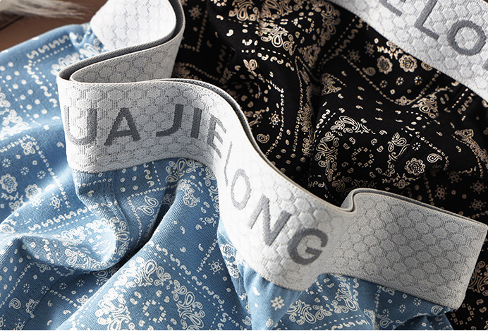 Cotton Printed Mid-Waist Underwear (set of 04)