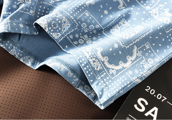 Cotton Printed Mid-Waist Underwear (set of 04)