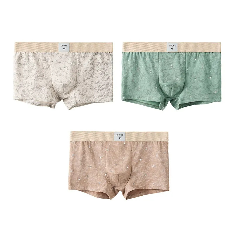 Sparkle Star Printed Slim Fit Underwear (Set of 03)