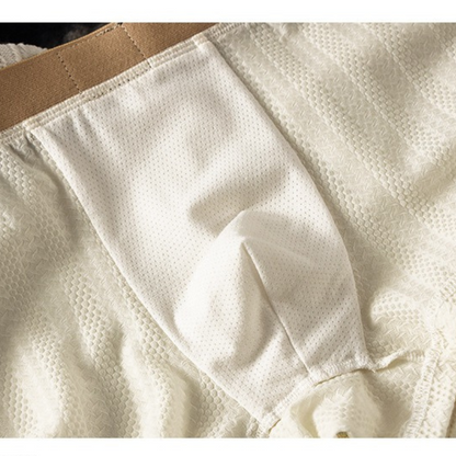 Comfortable Ice Silk Solid Color Briefs( Set of 03)