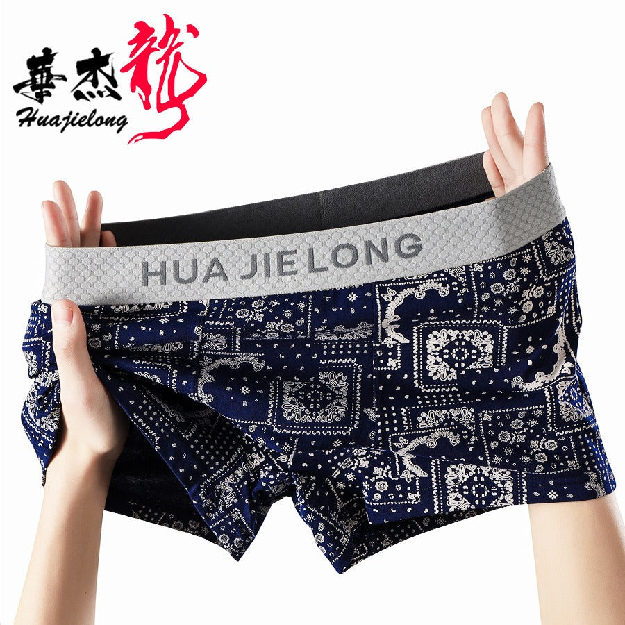 Cotton Printed Mid-Waist Underwear (set of 04)