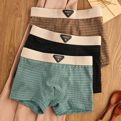 BreezeFit Ice Silk Antibacterial Men’s Underwear( Set of 04)