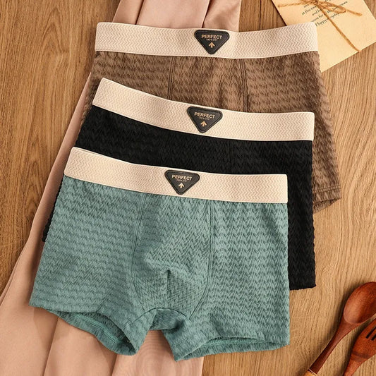 BreezeFit Ice Silk Antibacterial Men’s Underwear( Set of 04)