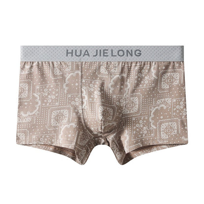 Cotton Printed Mid-Waist Underwear (set of 04)