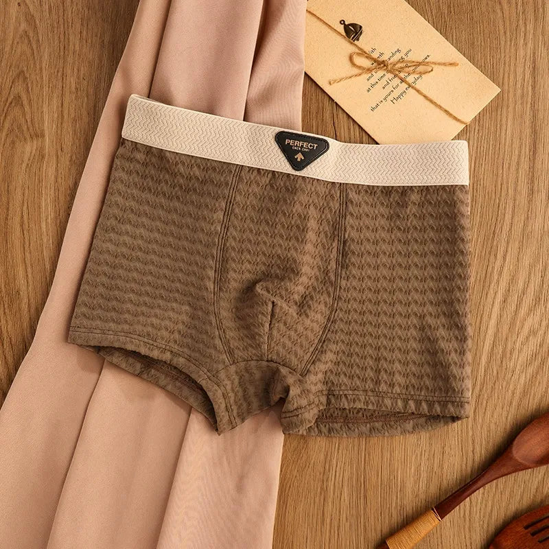 BreezeFit Ice Silk Antibacterial Men’s Underwear( Set of 04)