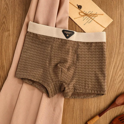 BreezeFit Ice Silk Antibacterial Men’s Underwear( Set of 04)