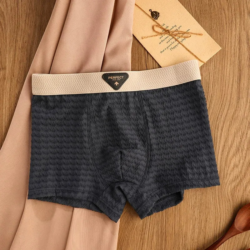 BreezeFit Ice Silk Antibacterial Men’s Underwear( Set of 04)