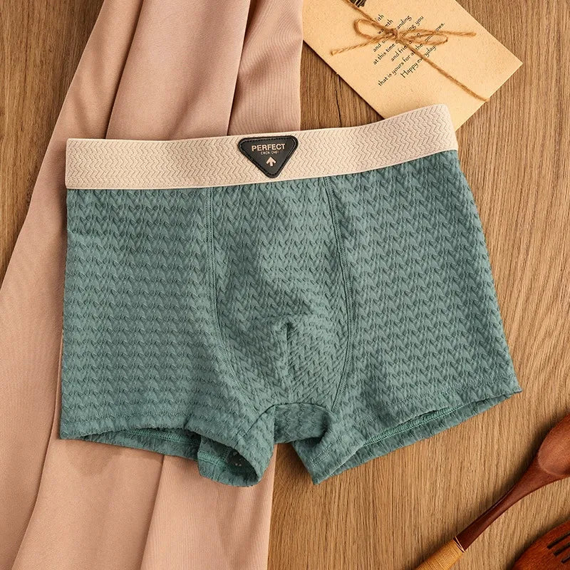 BreezeFit Ice Silk Antibacterial Men’s Underwear( Set of 04)