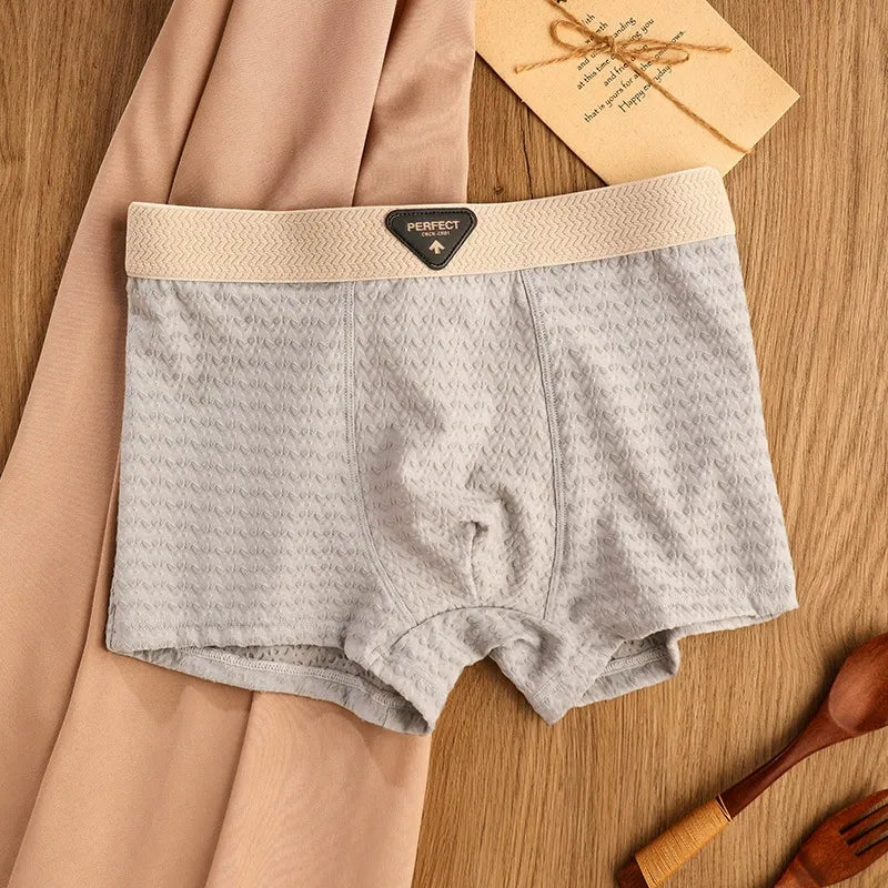 BreezeFit Ice Silk Antibacterial Men’s Underwear( Set of 04)