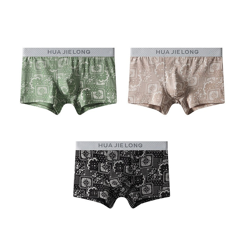 Cotton Printed Mid-Waist Underwear (set of 04)