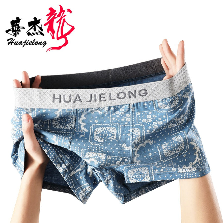 Cotton Printed Mid-Waist Underwear (set of 04)
